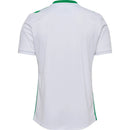 Camisa Saint Étienne 2024/25 Away