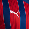 Camisa EC Bahia 25/26 Away